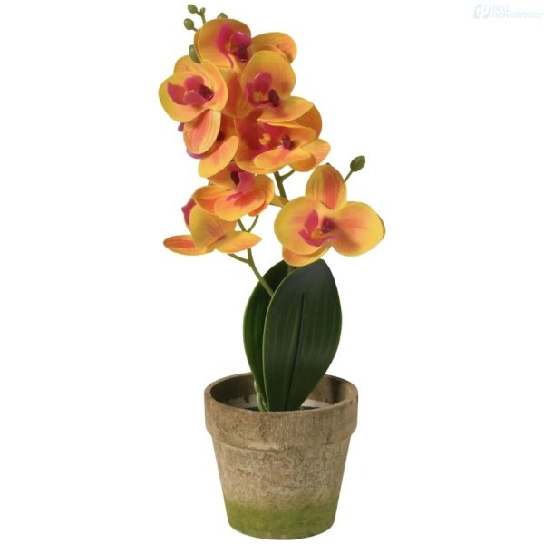 incluyendo ADORNO DECORATIVO ALESSA FLOR ARTIFICIAL CON MACETA ES22795 337830 y más. Descubre la comodidad y el rendimiento en cada dispositivo. ¡Mejora tu vida cotidiana con nuestra gama de productos para el hogar! ARTICULOS PARA PROMOCION ADORNOS - BellNovainser