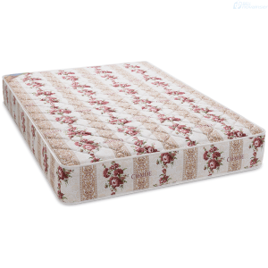 Explora nuestra línea de electrodomésticos de alta calidad. Encuentra soluciones confiables y eficientes para tu hogar