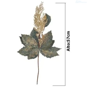 Explora nuestra línea de electrodomésticos de alta calidad. Encuentra soluciones confiables y eficientes para tu hogar