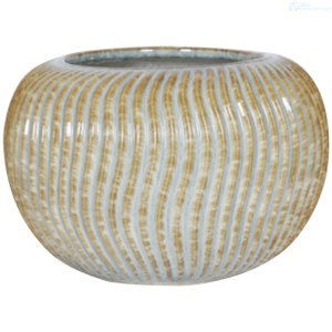 Explora nuestra línea de electrodomésticos de alta calidad. Encuentra soluciones confiables y eficientes para tu hogar