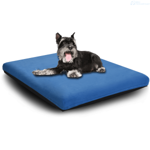 SUEÑOS DE MASCOTAS CHAIDE Y CHAIDE PET DREAMS 0.60 X 0.40 X 0.05