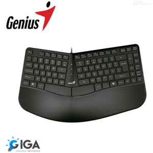 TECLADOR GENIUS ERGO KB-700 ERGONOMICO USB NEGRO